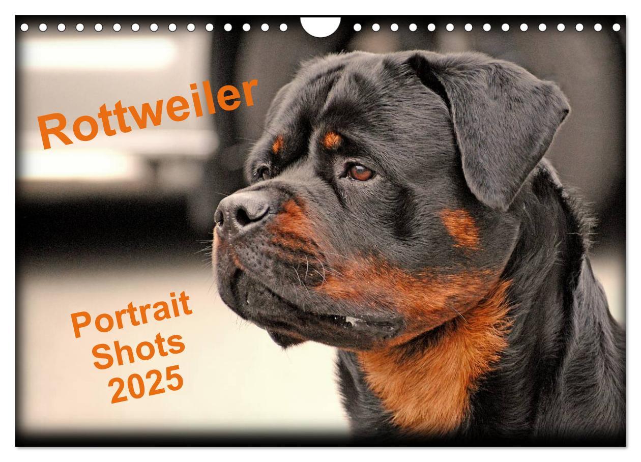 Cover: 9781325956425 | Rottweiler Portait Shots 2025 (Wall Calendar 2025 DIN A4...