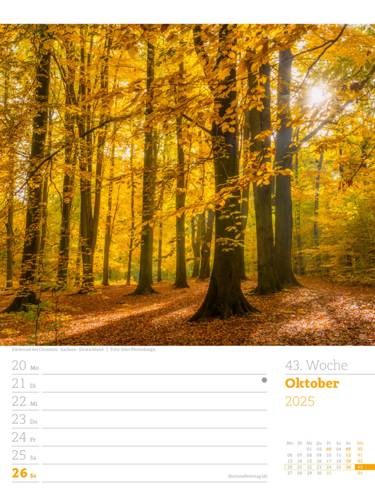 Bild: 9783838425979 | Unser Wald - Wochenplaner Kalender 2025 | Ackermann Kunstverlag | 2025