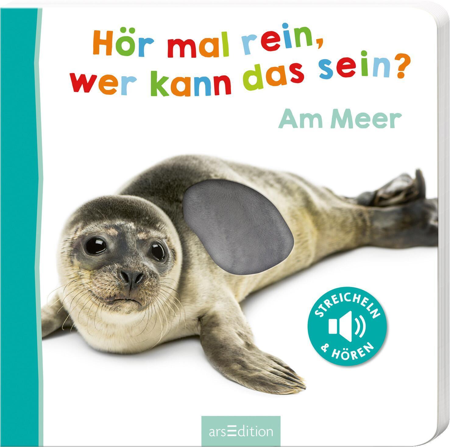 Cover: 9783845818207 | Hör mal rein, wer kann das sein? Am Meer | Buch | 12 S. | Deutsch