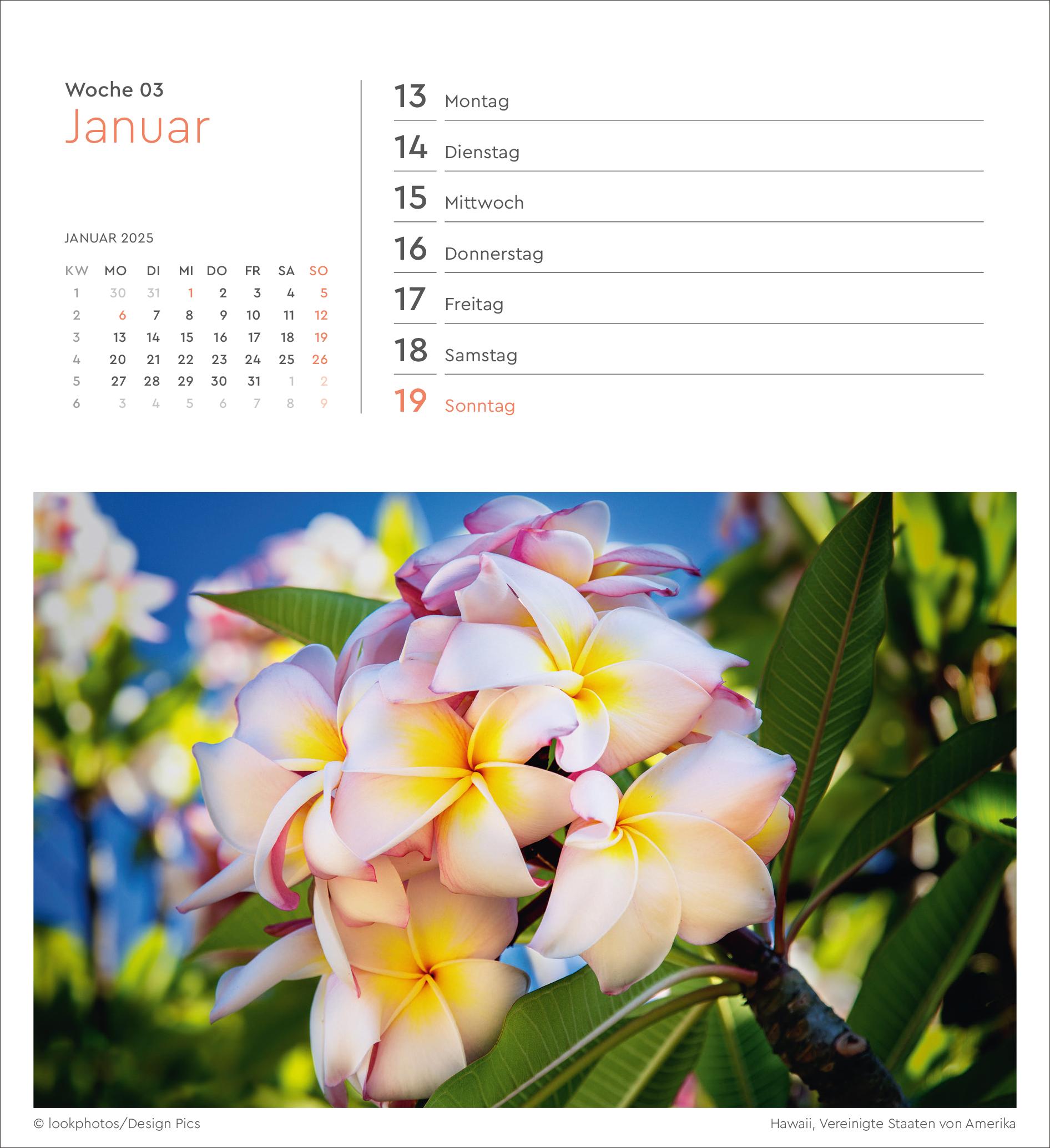 Bild: 9783965913905 | Summertime - KUNTH Postkartenkalender 2025 | Kalender | 53 S. | 2025