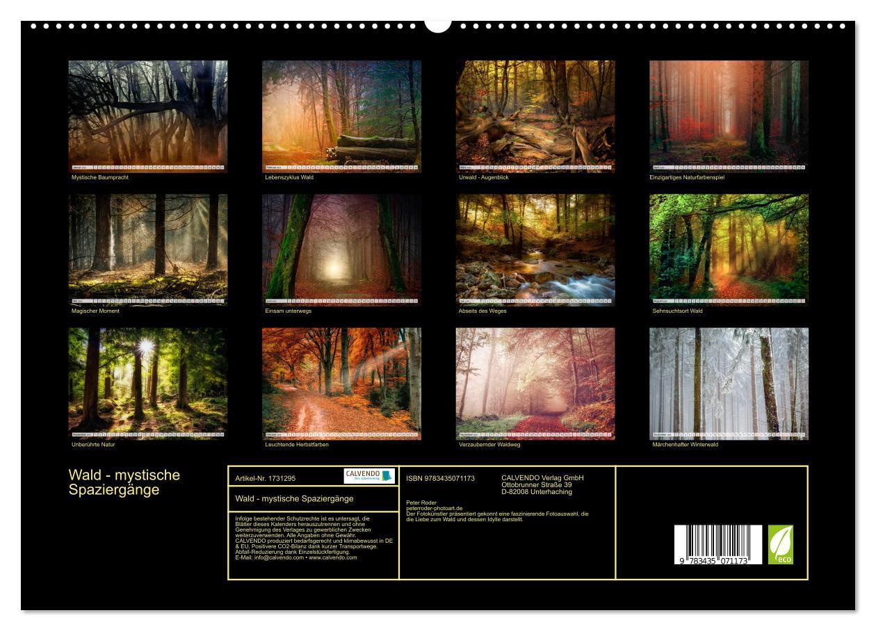 Bild: 9783435071173 | Wald - mystische Spaziergänge (Wandkalender 2025 DIN A2 quer),...