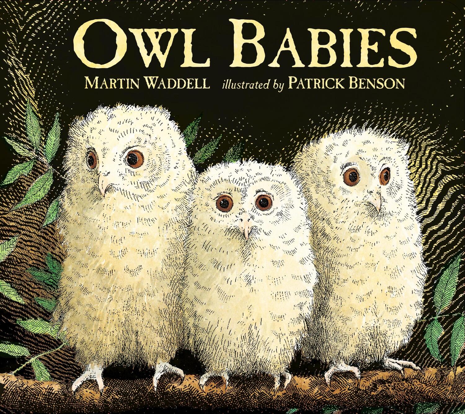 Cover: 9781406374377 | Owl Babies | Martin Waddell | Buch | Papp-Bilderbuch | Englisch | 2017