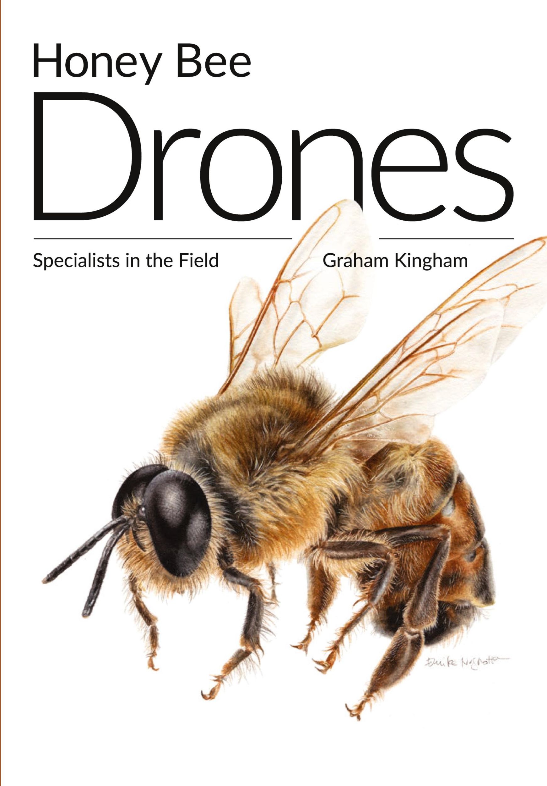 Cover: 9781912271528 | Honey Bee Drones | Specialists in the Field | Graham Kingham | Buch