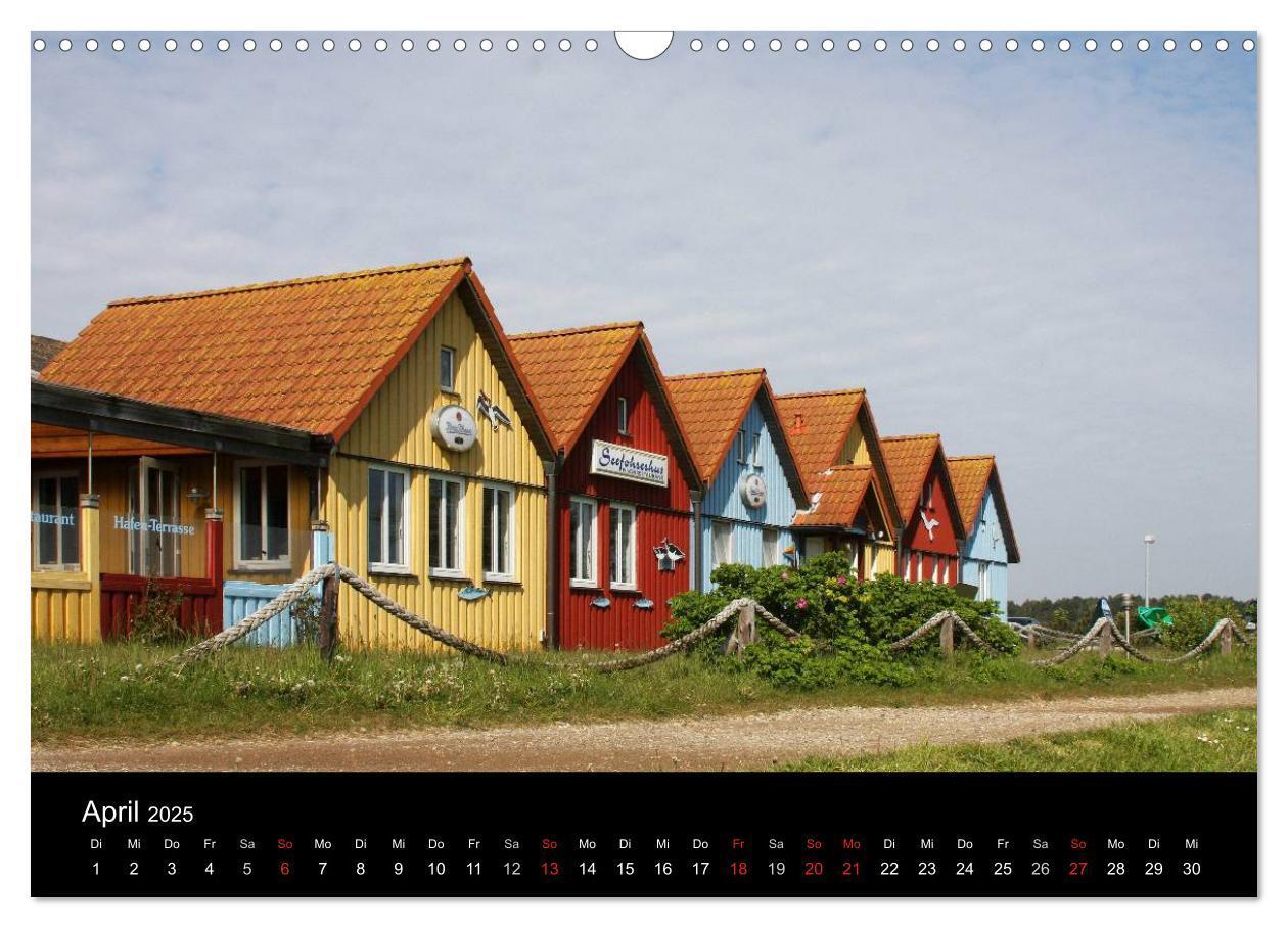 Bild: 9783435787920 | Die Insel Amrum (Wandkalender 2025 DIN A3 quer), CALVENDO...