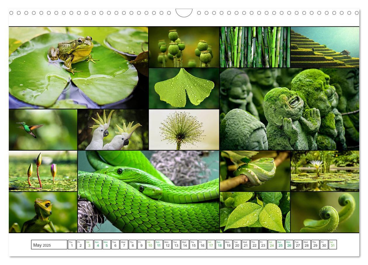 Bild: 9781325835355 | Colour Symphonies of the Earth (Wall Calendar 2025 DIN A3...