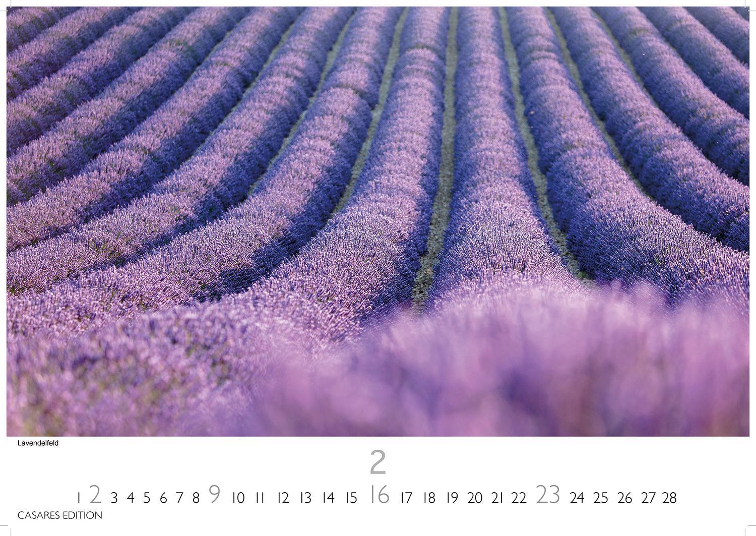 Bild: 9781835241769 | Provence 2025 L 35x50cm | Kalender | 14 S. | Deutsch | 2025