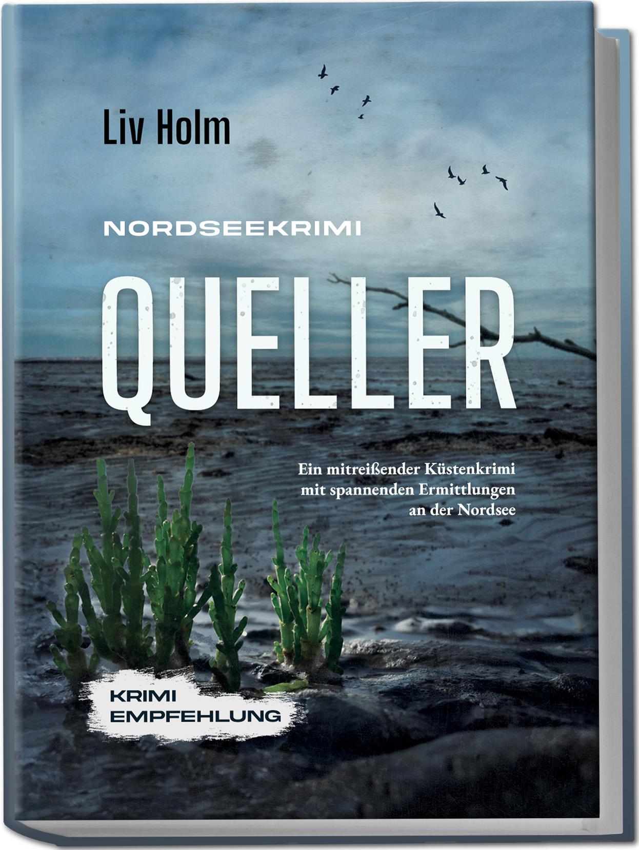 Cover: 9783757623456 | Nordseekrimi Queller: Ein mitreißender Küstenkrimi mit spannenden...