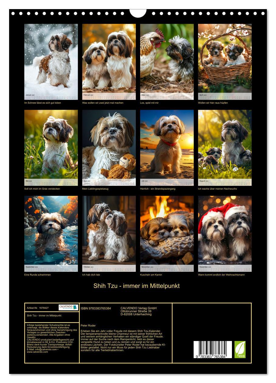 Bild: 9783383765384 | Shih Tzu - immer im Mittelpunkt (Wandkalender 2025 DIN A3 hoch),...