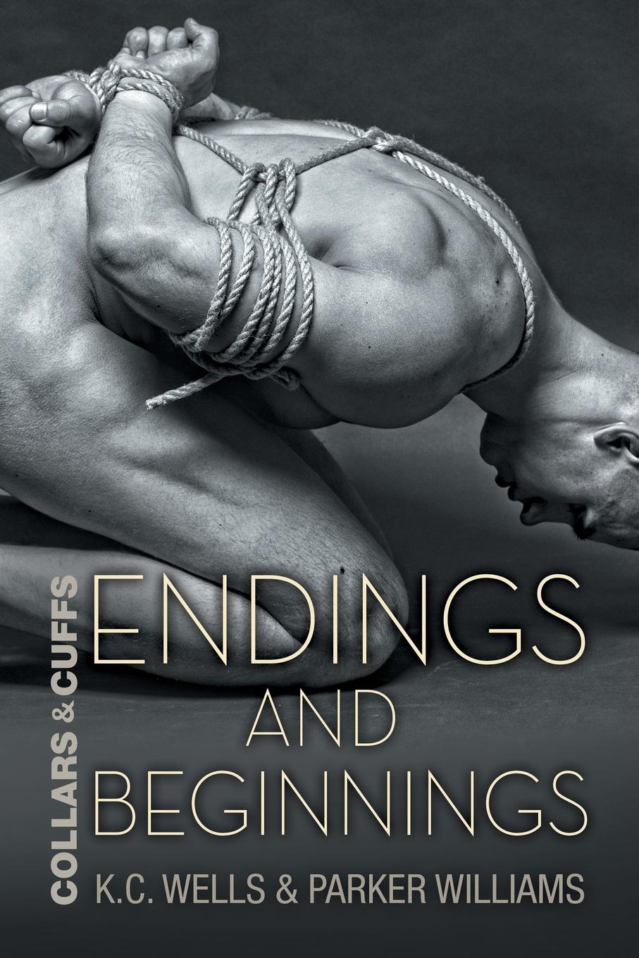 Cover: 9781634774079 | Endings and Beginnings | K. C. Wells (u. a.) | Taschenbuch | Englisch