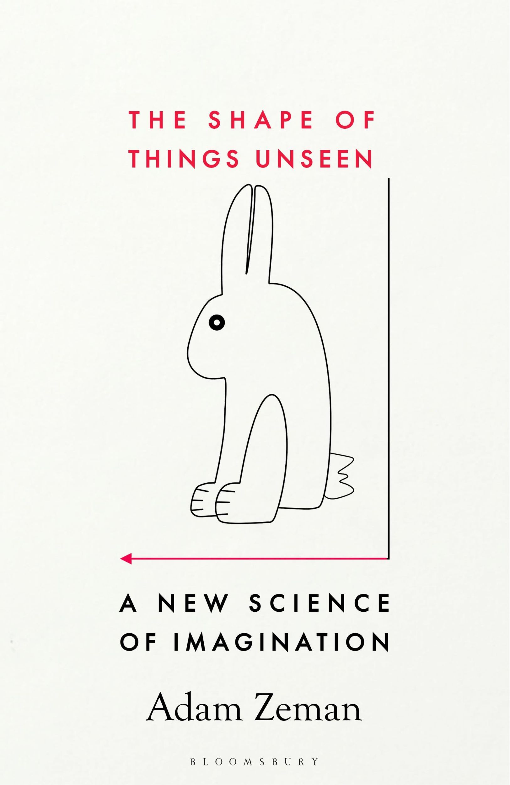 Cover: 9781526609731 | The Shape of Things Unseen | A New Science of Imagination | Adam Zeman