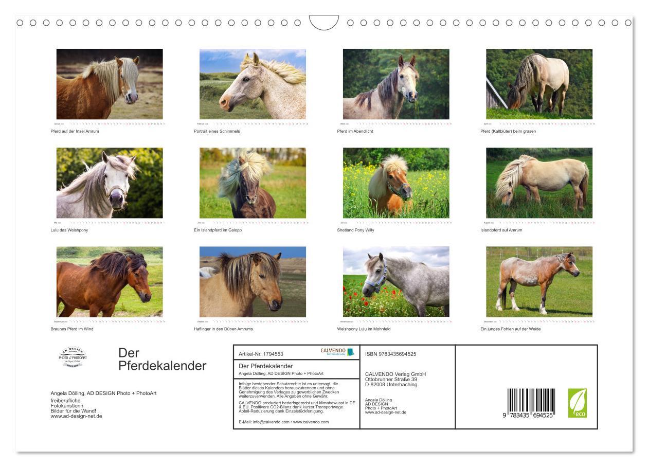 Bild: 9783435694525 | Der Pferdekalender (Wandkalender 2025 DIN A3 quer), CALVENDO...