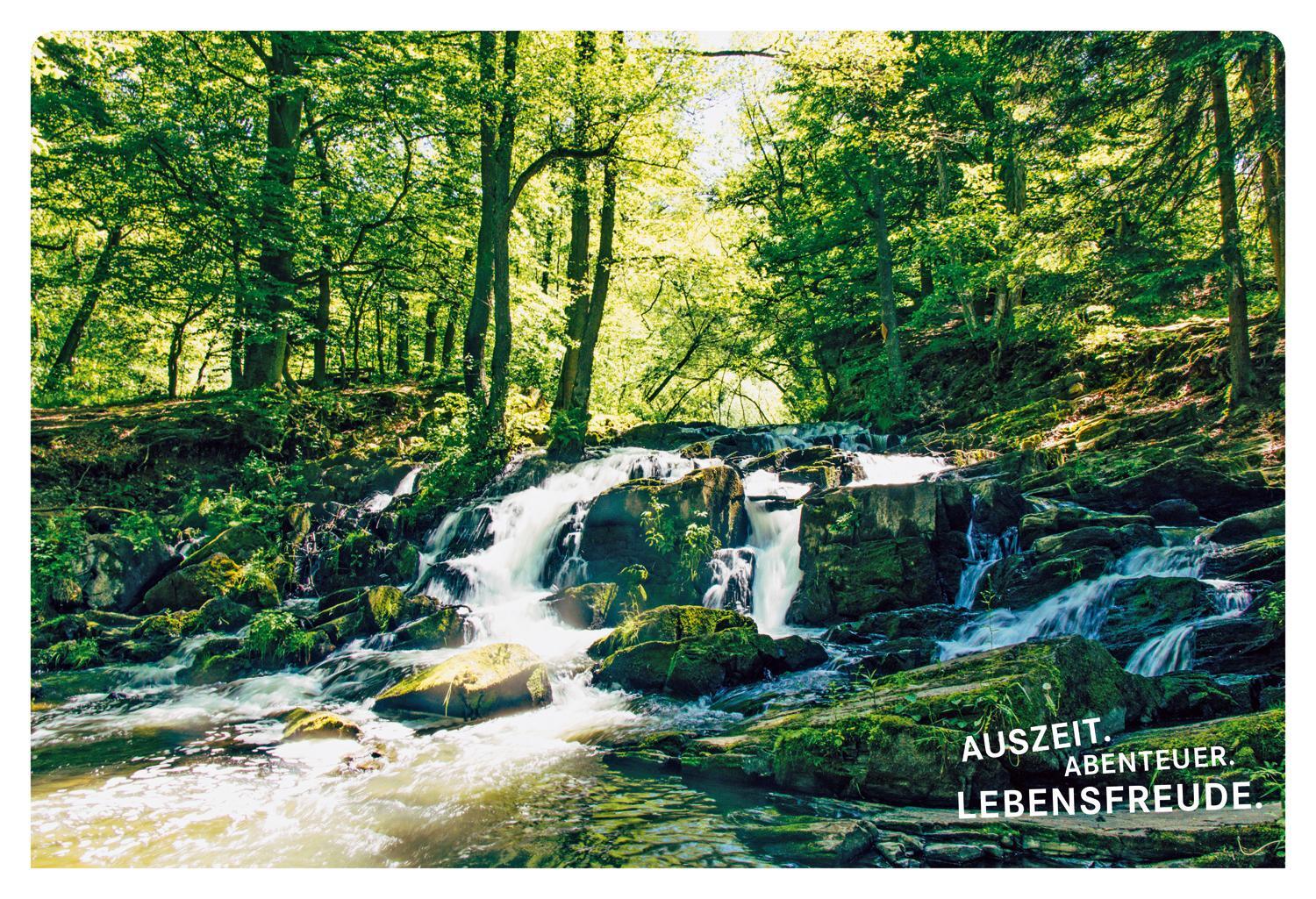 Bild: 9783770180721 | 52 kleine & große Eskapaden rund um Harz | Ab nach draußen! | Zieseniß