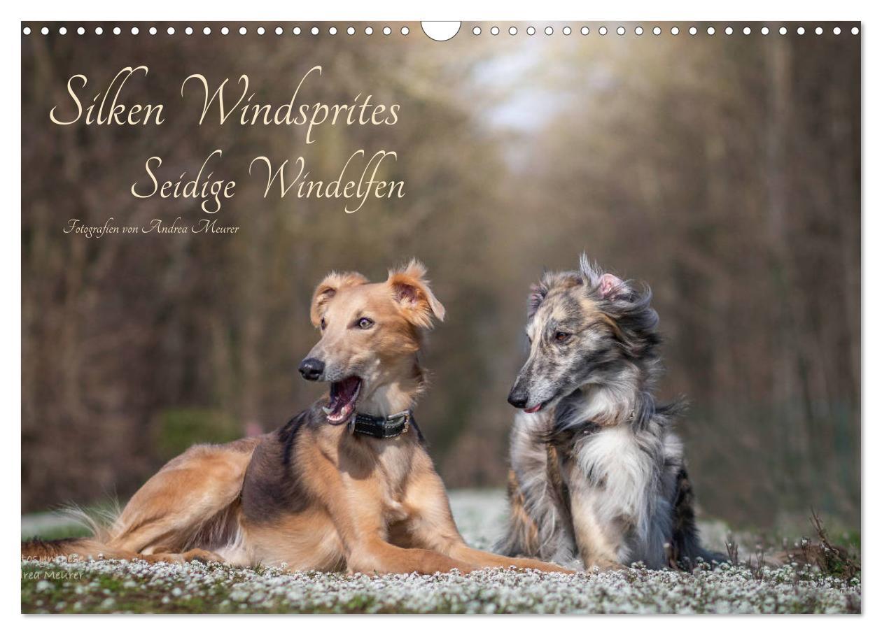 Cover: 9783435181285 | Silken Windsprites - Seidige Windelfen (Wandkalender 2025 DIN A3...