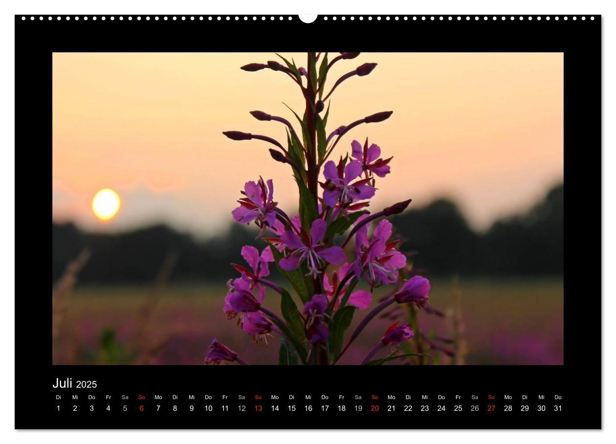 Bild: 9783435731398 | Landschaft Teufelsmoor / 2025 (Wandkalender 2025 DIN A2 quer),...