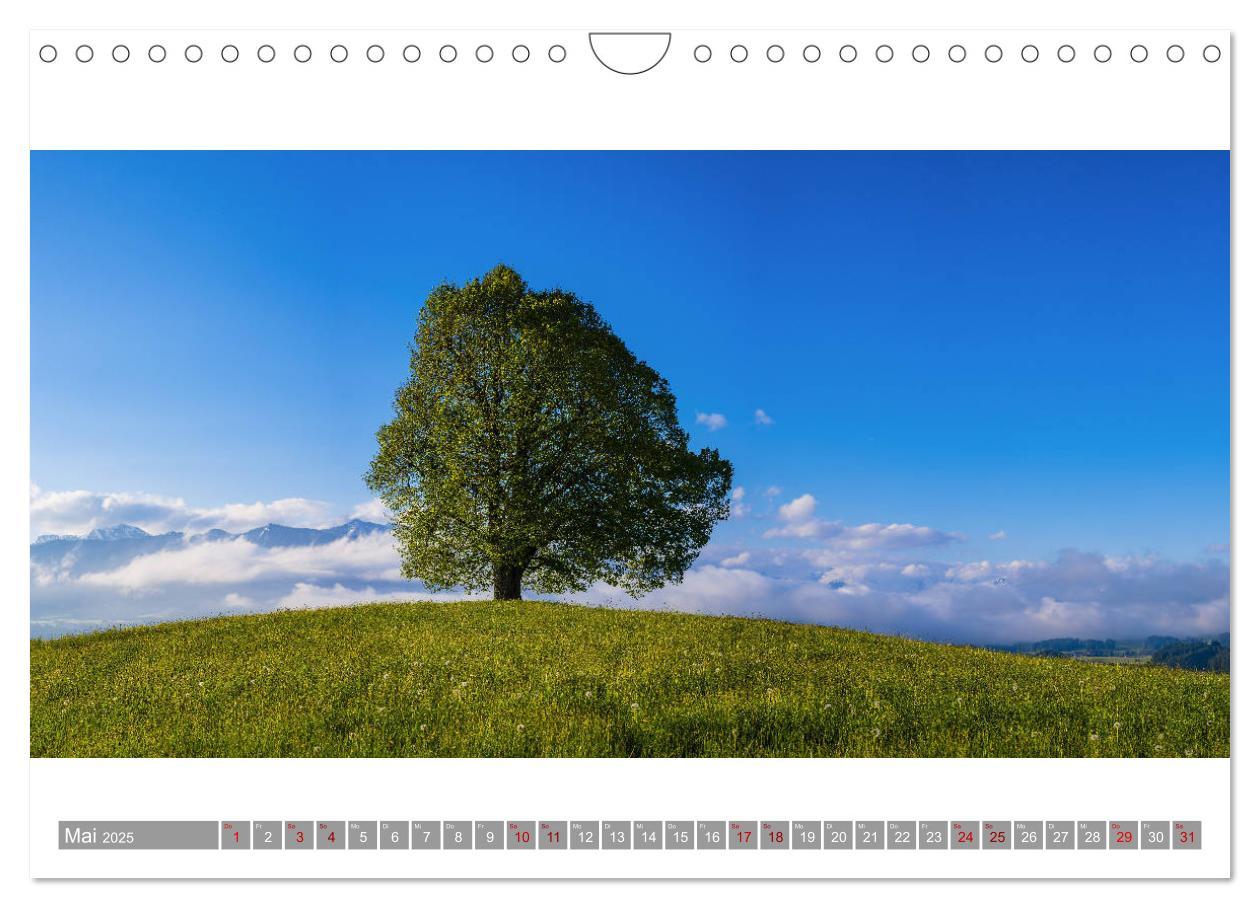 Bild: 9783435359127 | Oberallgäu Panorama (Wandkalender 2025 DIN A4 quer), CALVENDO...