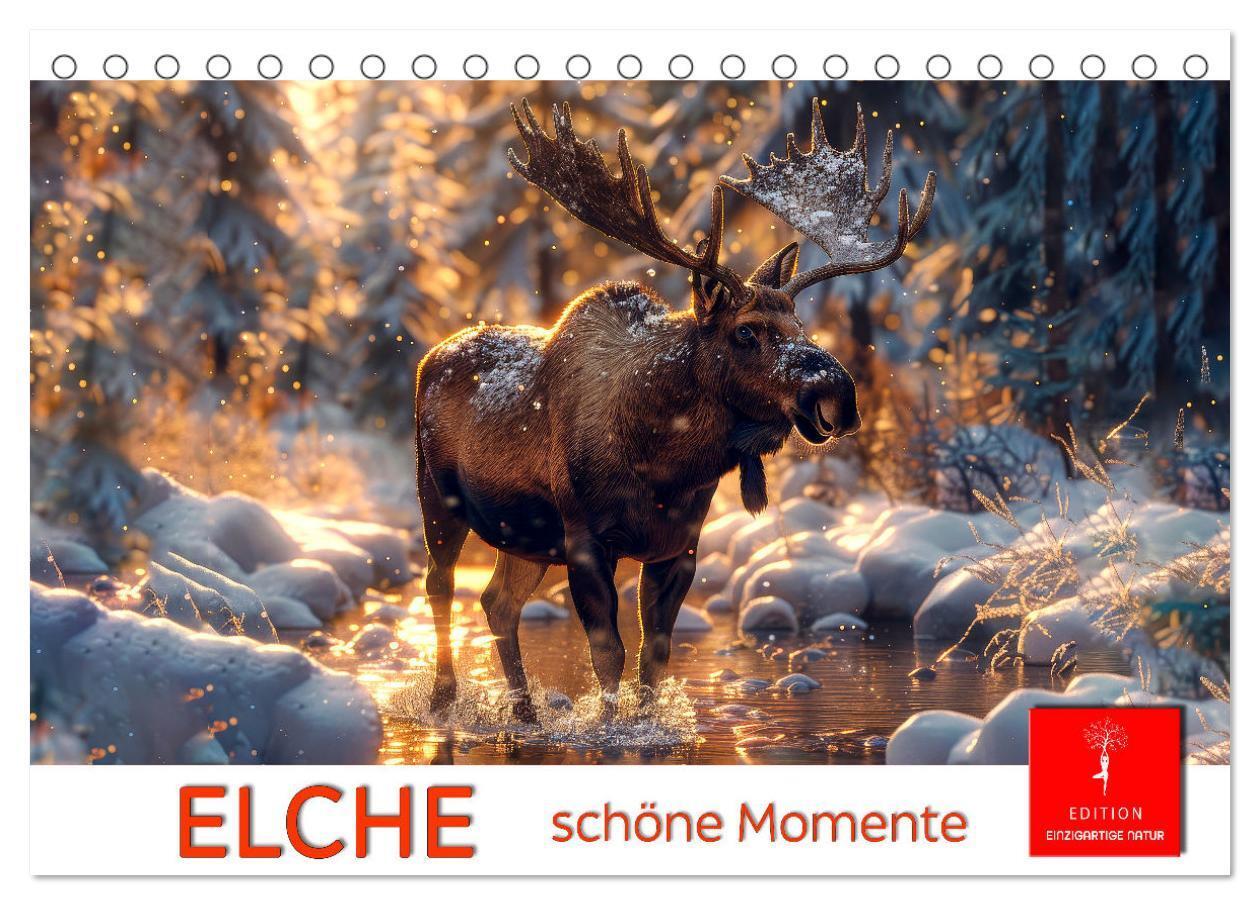 Cover: 9783383829673 | Elche - schöne Momente (Tischkalender 2025 DIN A5 quer), CALVENDO...