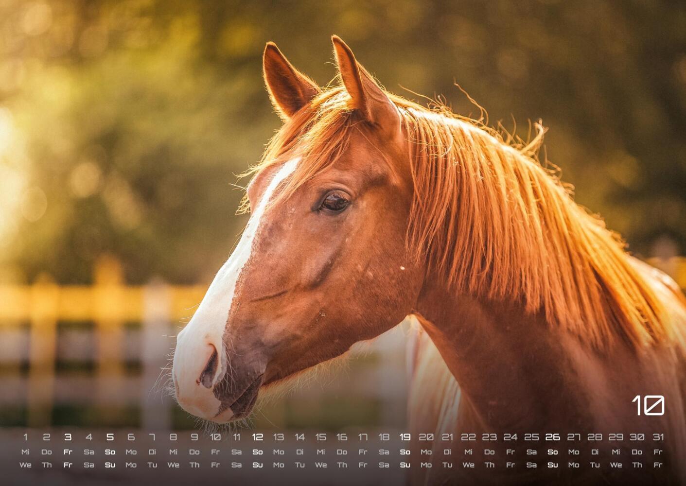 Bild: 9783986734046 | Pferdegeflüster - Der Pferdekalender - 2025 - Kalender DIN A2 | 15 S.