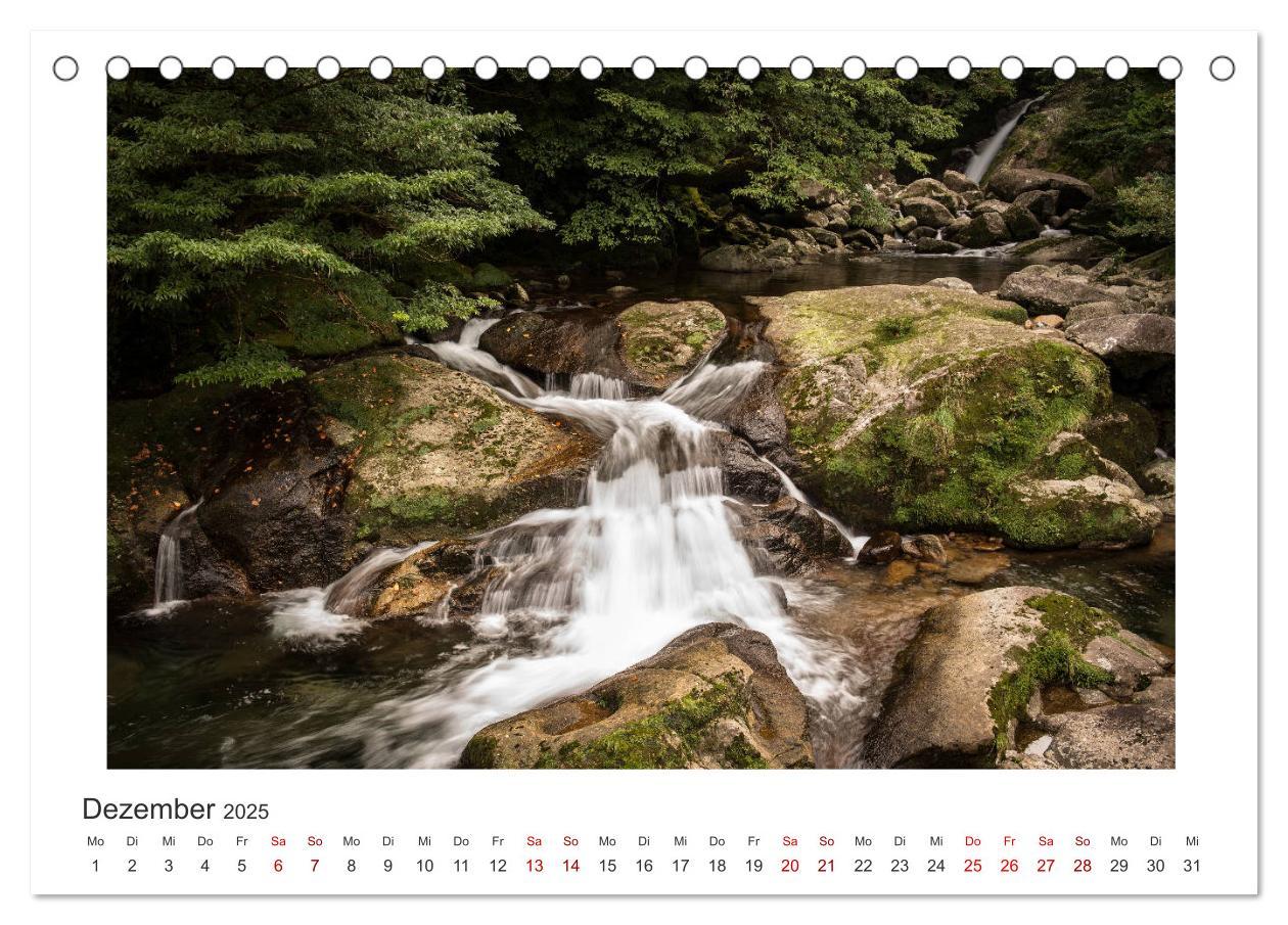 Bild: 9783435343799 | Yakushima - Japans Weltnaturerbe (Tischkalender 2025 DIN A5 quer),...