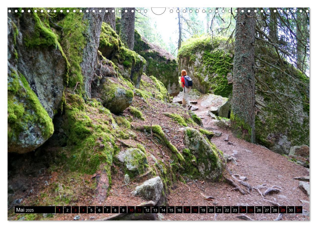 Bild: 9783435028610 | Meraner Höhenweg von Meran bis Katharinaberg (Wandkalender 2025 DIN...