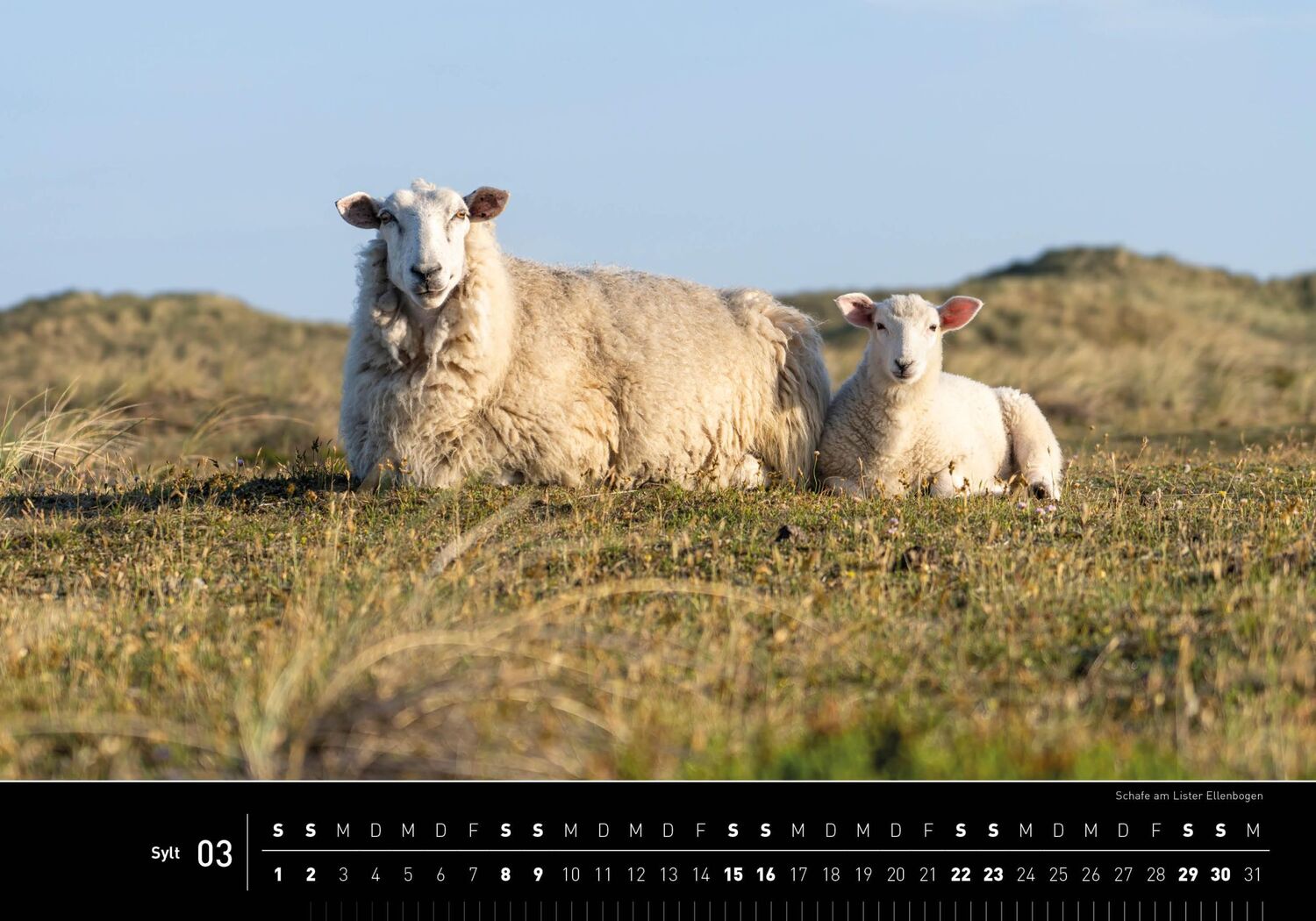 Bild: 9783968555331 | 360° Sylt Premiumkalender 2025 | Jan Becke | Kalender | 13 S. | 2025