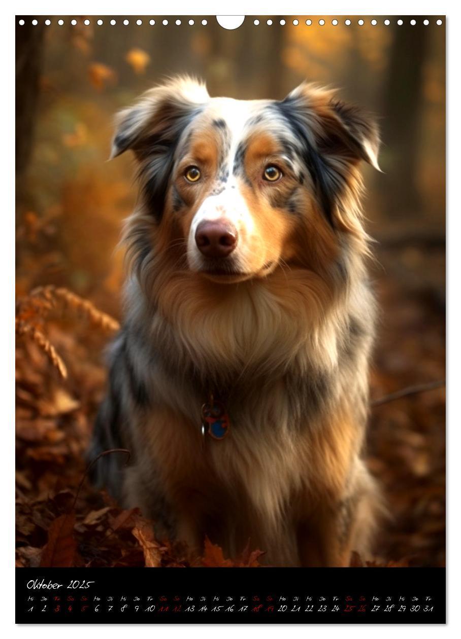 Bild: 9783435876648 | Australian Shepherd (Wandkalender 2025 DIN A3 hoch), CALVENDO...