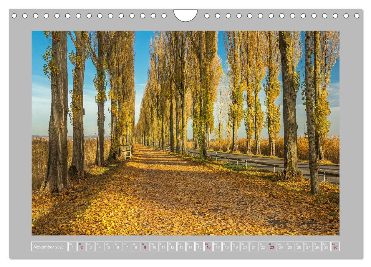 Bild: 9783435367382 | Insel Reichenau - Größte Insel im Bodensee (Wandkalender 2025 DIN...