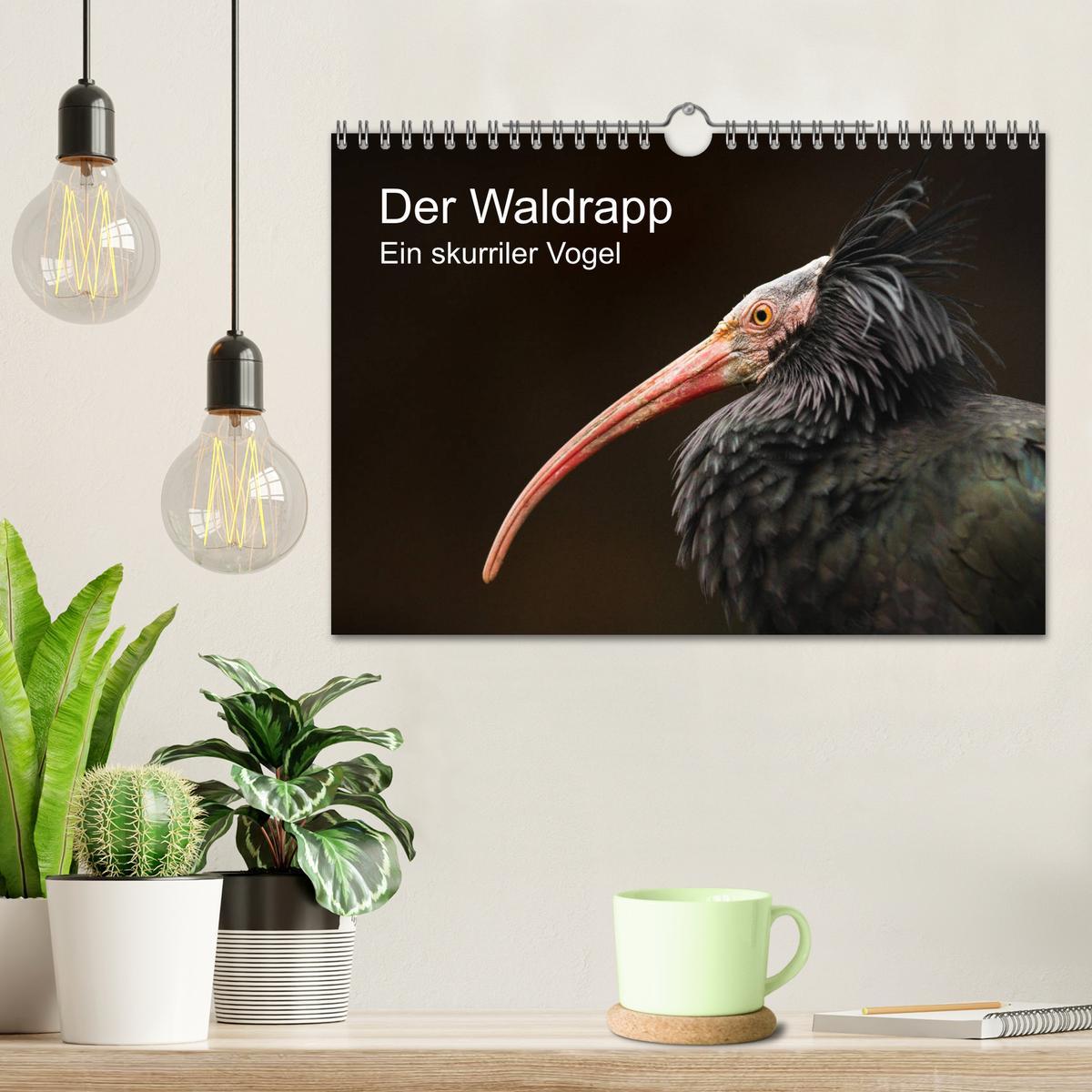 Bild: 9783435137046 | Der Waldrapp - Ein skurriler Vogel (Wandkalender 2025 DIN A4 quer),...