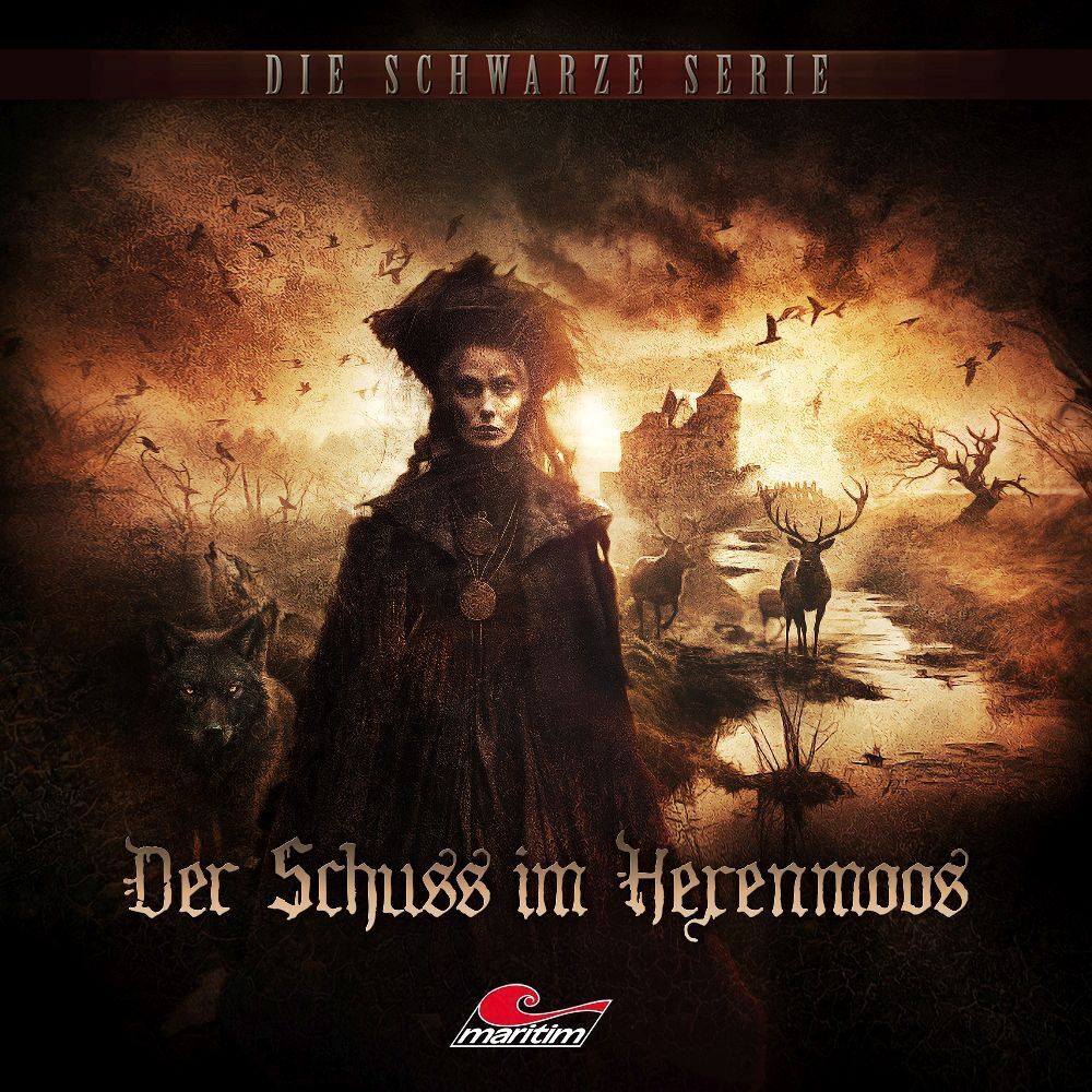 Cover: 9783962825164 | Die Schwarze Serie - Der Schuss im Hexenmoos, 1 Audio-CD | Audio-CD