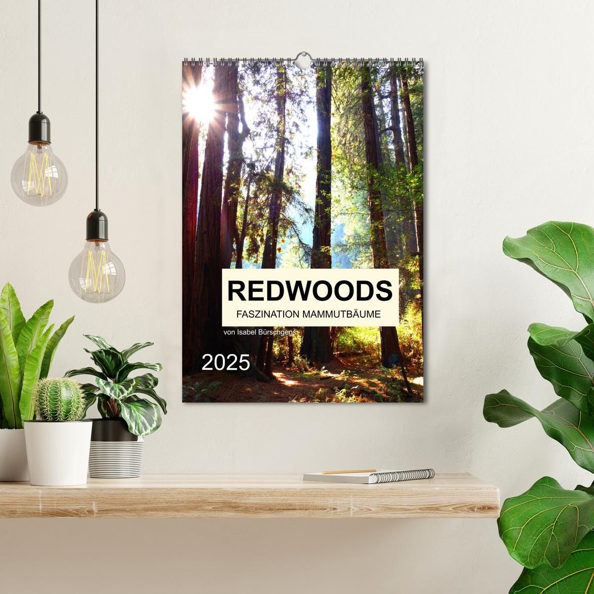 Bild: 9783435978991 | Redwoods - Faszination Mammutbäume (Wandkalender 2025 DIN A3 hoch),...