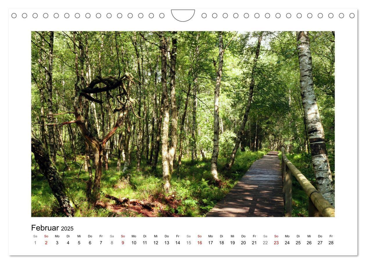 Bild: 9783435026791 | Rotes und Schwarzes Moor (Wandkalender 2025 DIN A4 quer), CALVENDO...