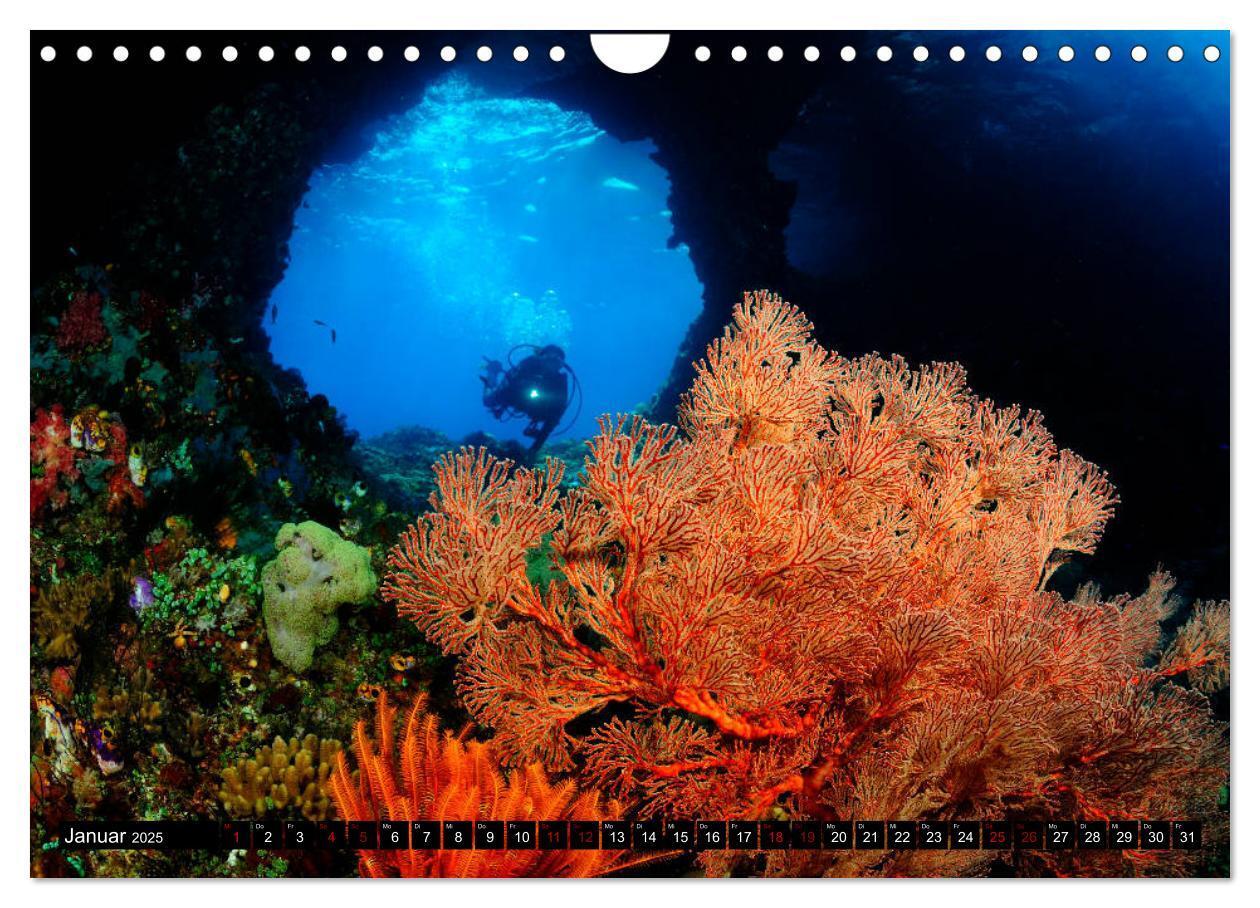 Bild: 9783435397976 | Raja Ampat - Faszinierende Unterwasserwelt (Wandkalender 2025 DIN...