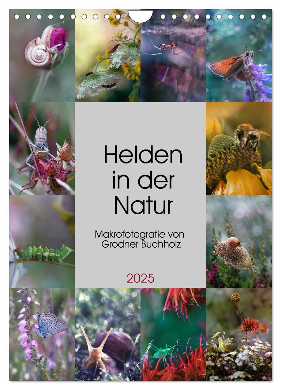 Cover: 9783435917648 | Helden in der Natur (Wandkalender 2025 DIN A4 hoch), CALVENDO...