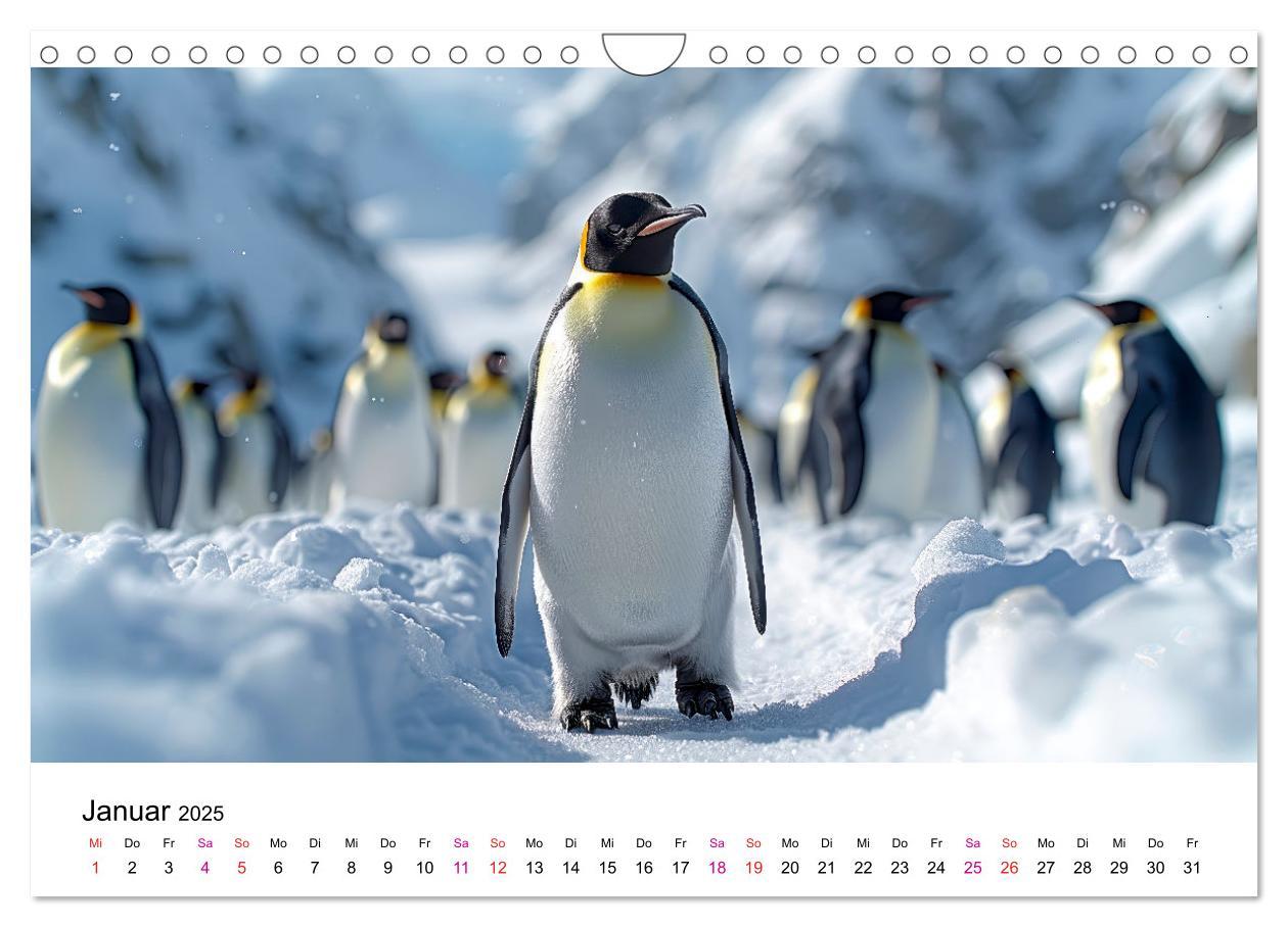 Bild: 9783457164389 | Maritim pur - Pinguine (Wandkalender 2025 DIN A4 quer), CALVENDO...