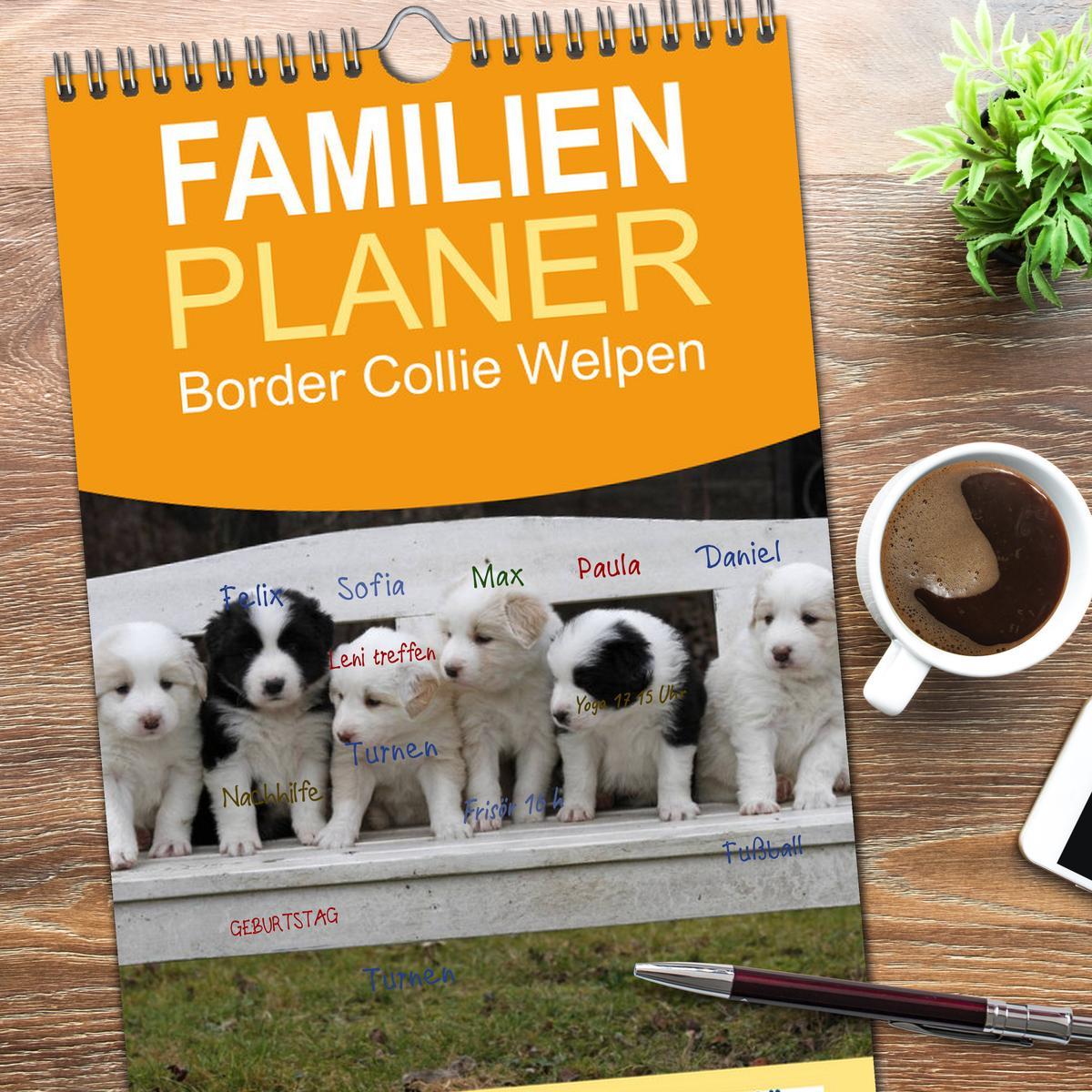 Bild: 9783457124772 | Familienplaner 2025 - Border Collie Welpen mit 5 Spalten...