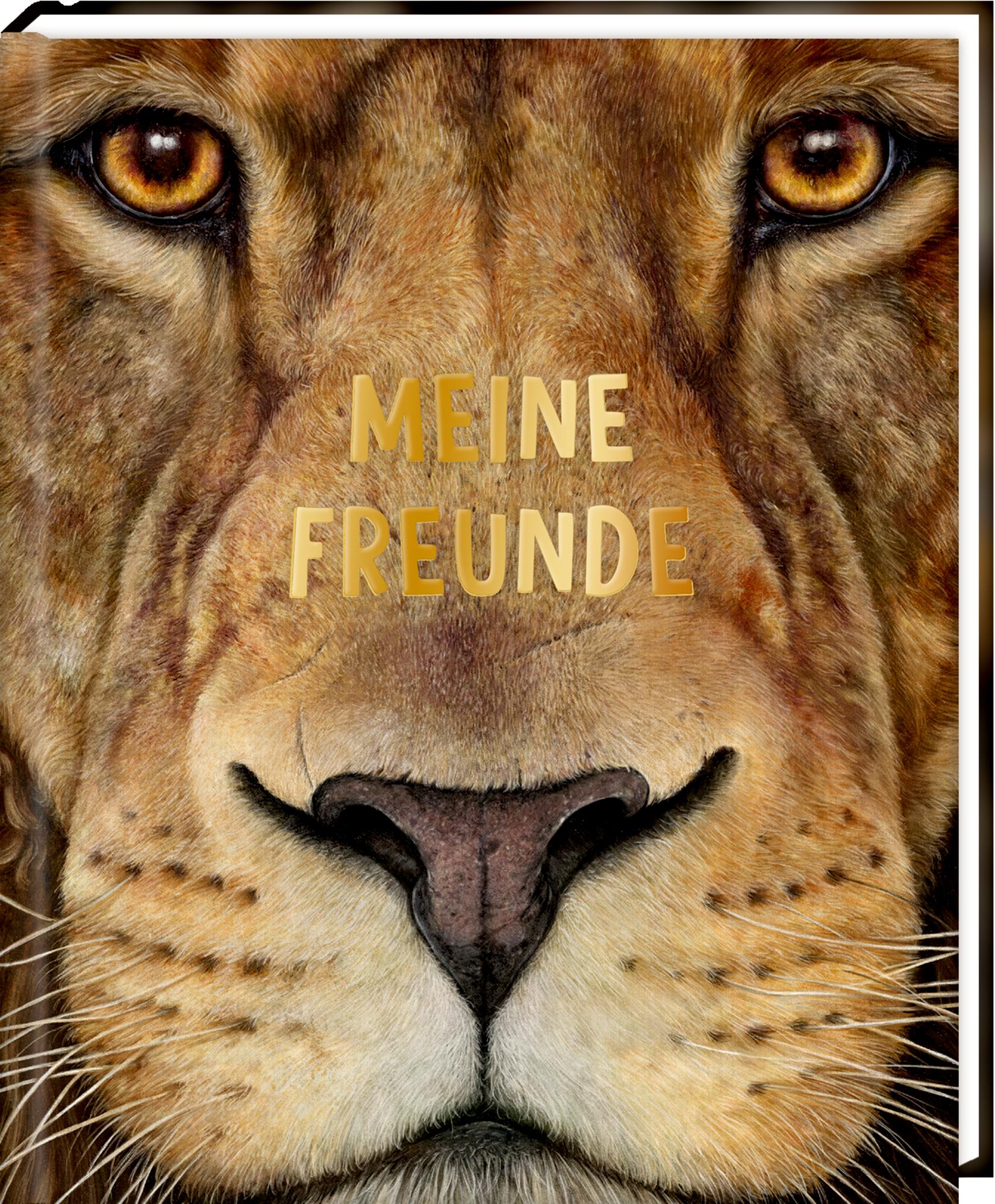 Cover: 4050003958286 | Freundebuch - Meine Freunde | Lebensgroß - Wilde Tiere Afrikas | Baus