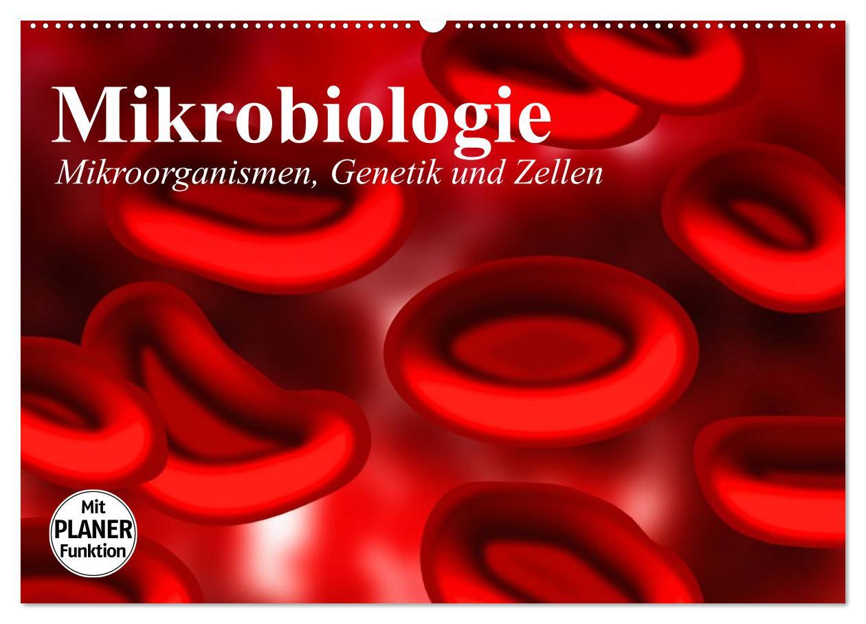 Cover: 9783435482962 | Mikrobiologie. Mikroorganismen, Genetik und Zellen (Wandkalender...