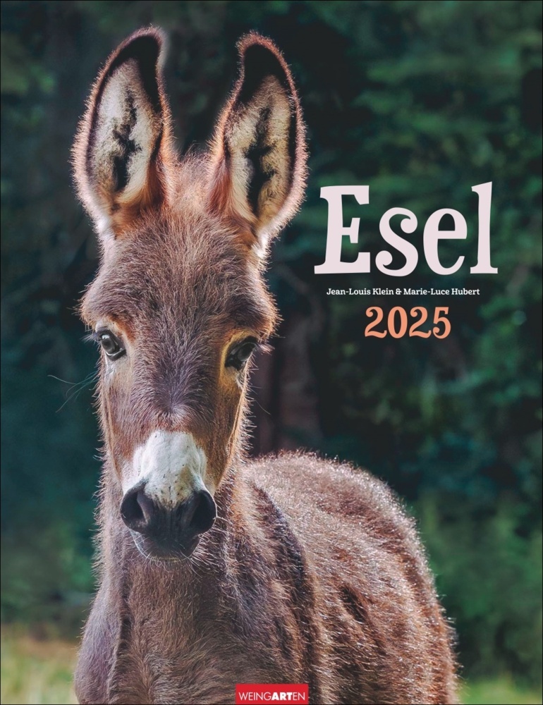 Cover: 9783839900451 | Esel Kalender 2025 | Marie-Luce Hubert (u. a.) | Kalender | 14 S.