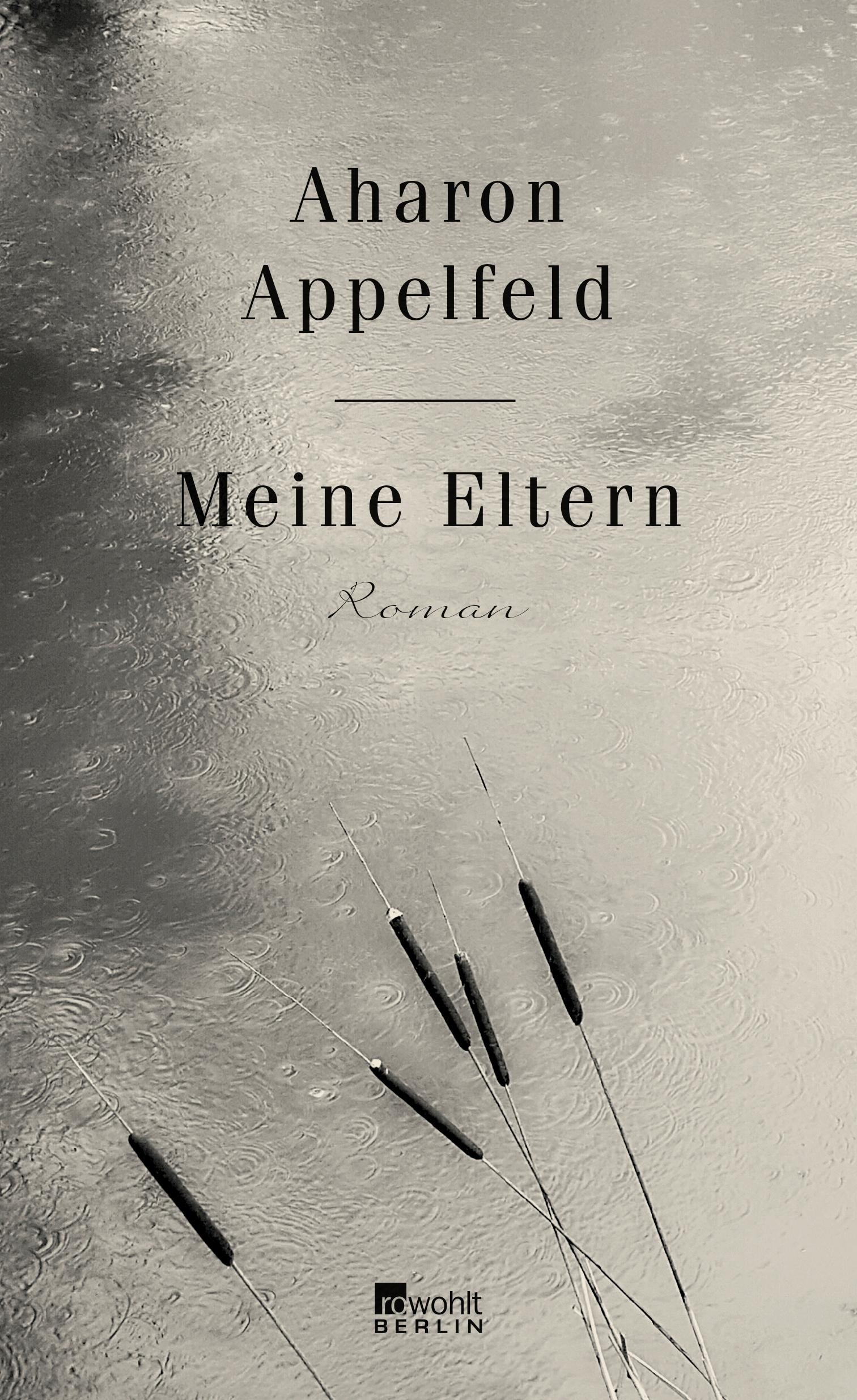 Cover: 9783737100311 | Meine Eltern | Aharon Appelfeld | Buch | 272 S. | Deutsch | 2017