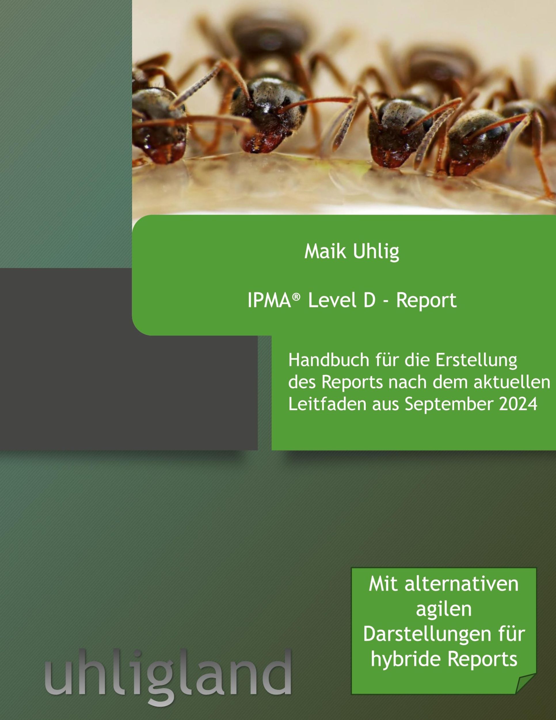 Cover: 9783759766816 | IPMA(R) Level D - Report | Maik Uhlig | Taschenbuch | 230 S. | Deutsch