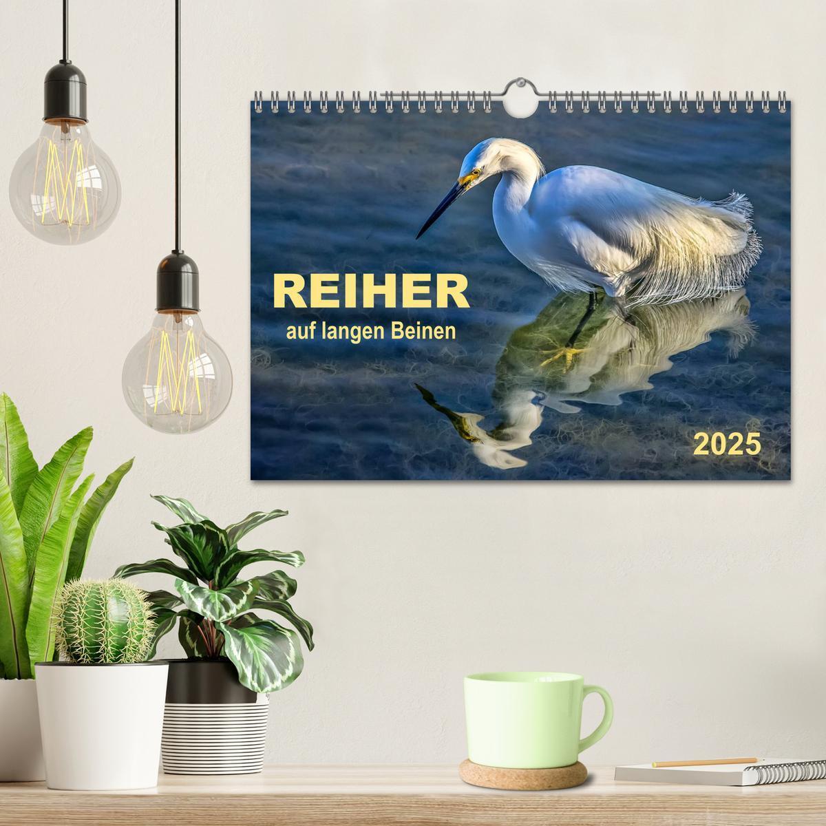 Bild: 9783435593880 | Reiher - auf langen Beinen (Wandkalender 2025 DIN A4 quer),...