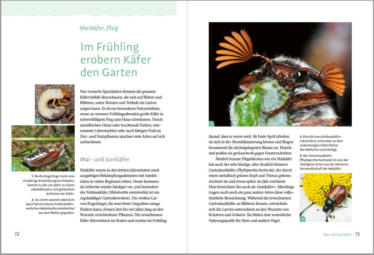 Bild: 9783962382476 | Gartensafari | Hannes Petrischak | Taschenbuch | 208 S. | Deutsch