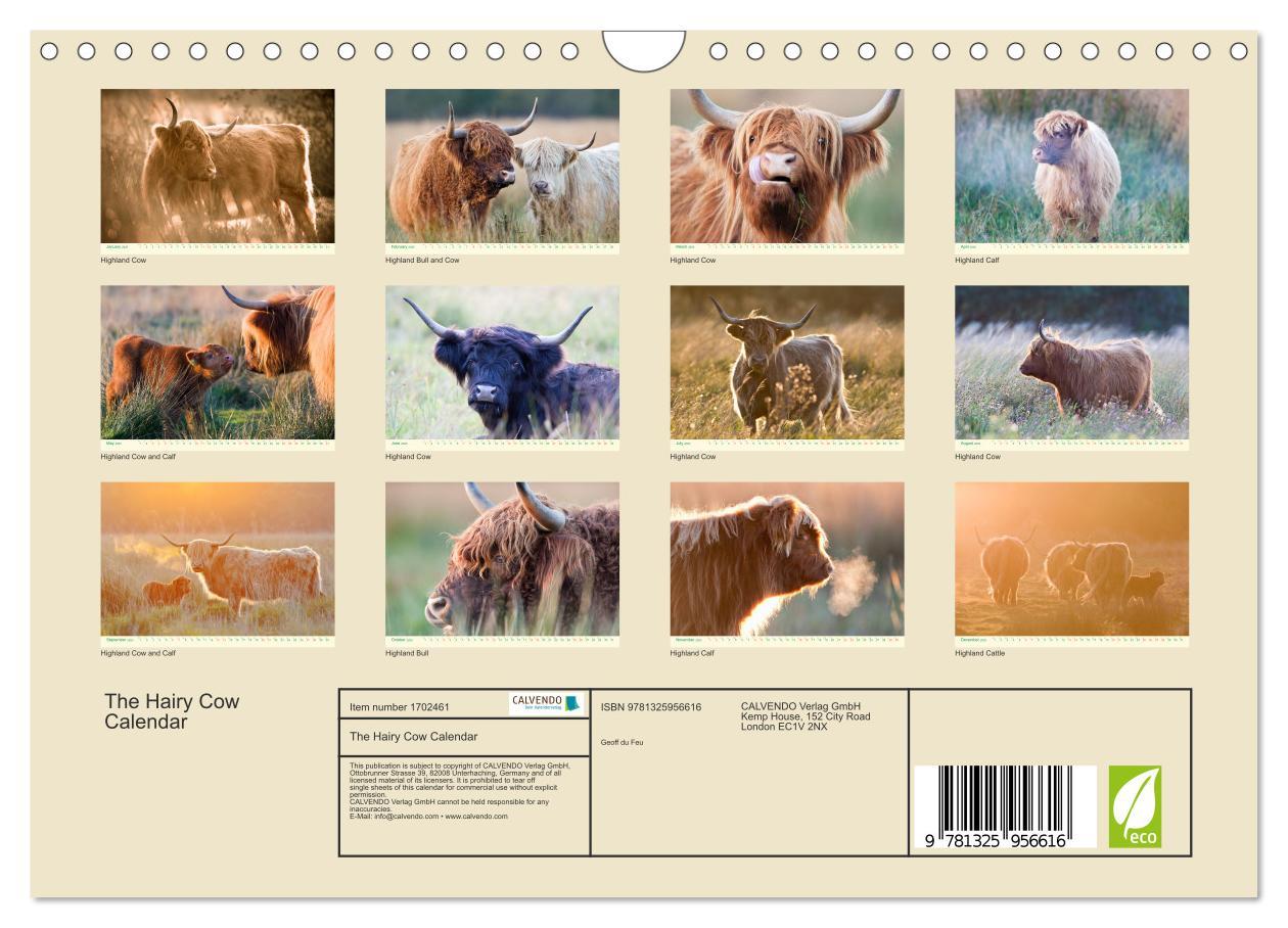 Bild: 9781325956616 | The Hairy Cow Calendar (Wall Calendar 2025 DIN A4 landscape),...