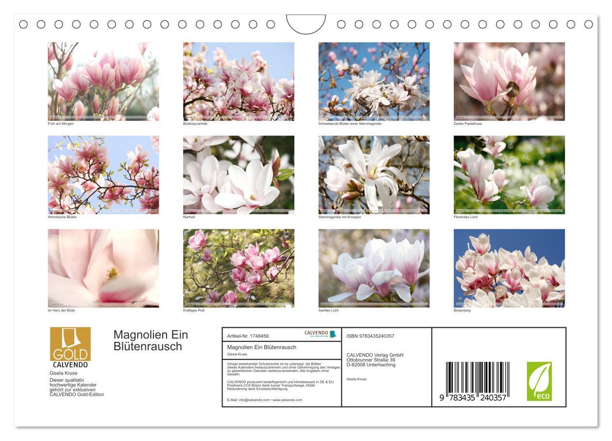 Bild: 9783435240357 | Magnolien Ein Blütenrausch (Wandkalender 2025 DIN A4 quer),...