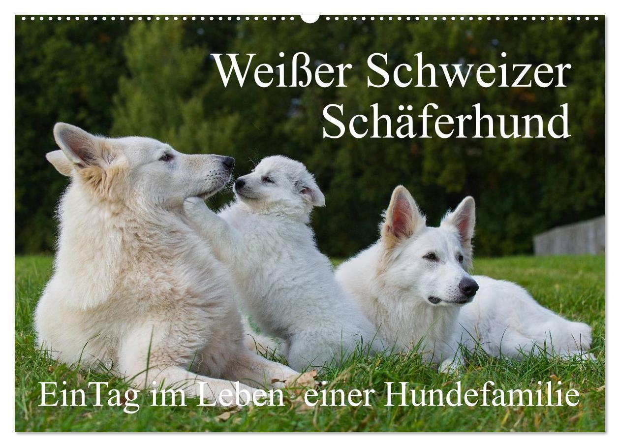 Cover: 9783435758722 | Weißer Schweizer Schäferhund - Ein Tag im Leben einer Hundefamilie...