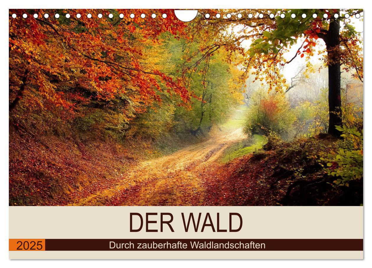 Cover: 9783435318612 | Der Wald. Durch zauberhafte Waldlandschaften (Wandkalender 2025 DIN...