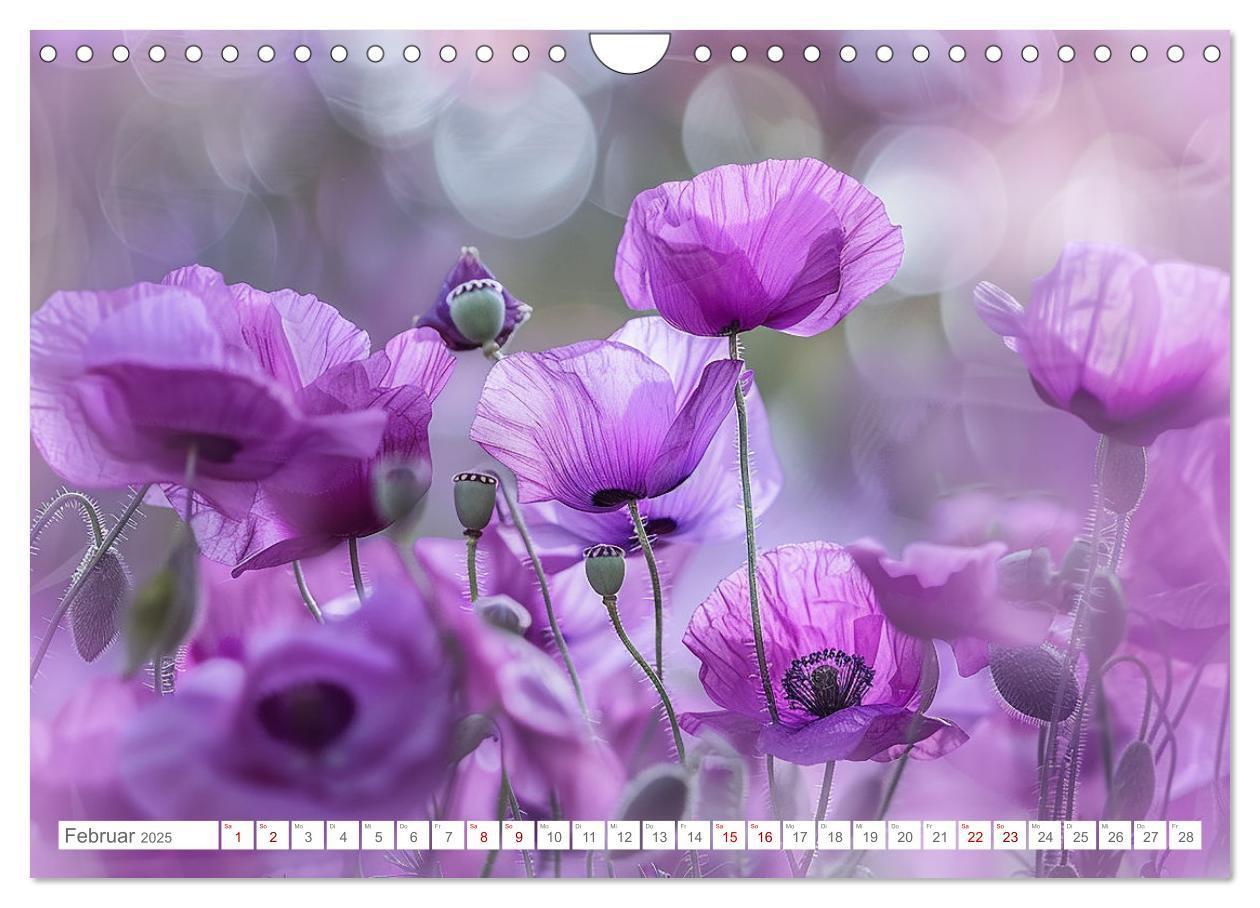 Bild: 9783383814549 | Bezaubernde Mohnblumen (Wandkalender 2025 DIN A4 quer), CALVENDO...