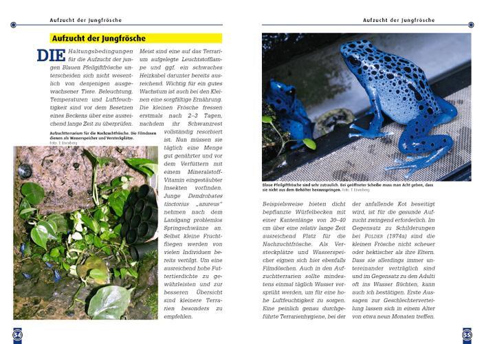 Bild: 9783937285047 | Der Blaue Pfeilgiftfrosch | Dendrobates azureus | Tobias Eisenberg