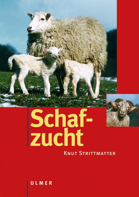 Cover: 9783800131921 | Schafzucht | Knut Strittmatter | Buch | Tierzuchtbücherei | 384 S.