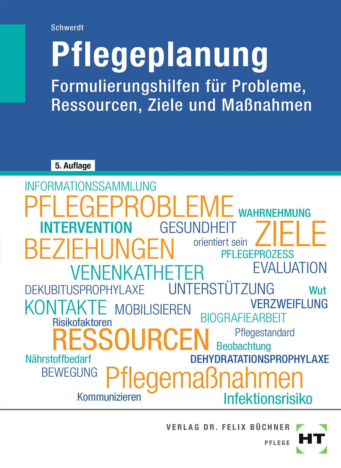 Cover: 9783582401267 | eBook inside: Buch und eBook Pflegeplanung | Christine Schwerdt | Buch