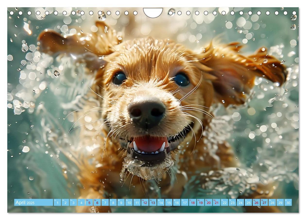 Bild: 9783457129227 | Hunde und Wasser (Wandkalender 2025 DIN A4 quer), CALVENDO...